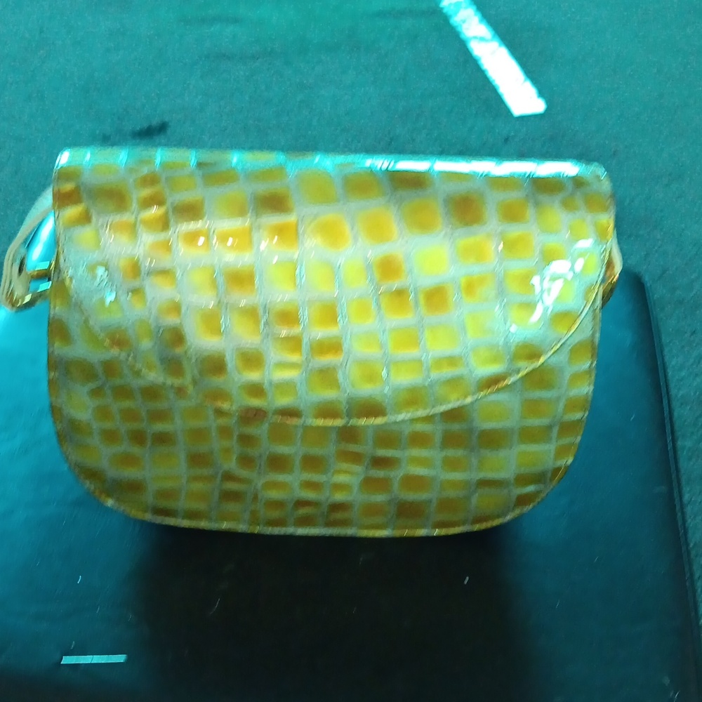 Vintage Fashion Influences purse